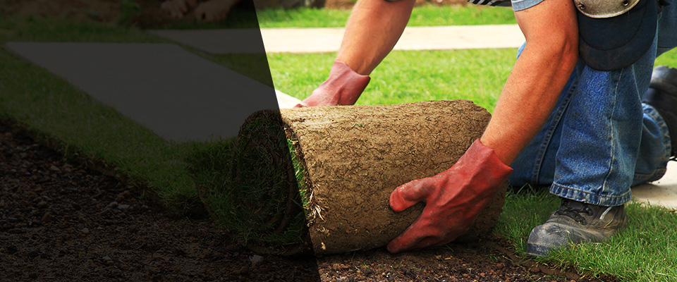 Walkertown Landscapers